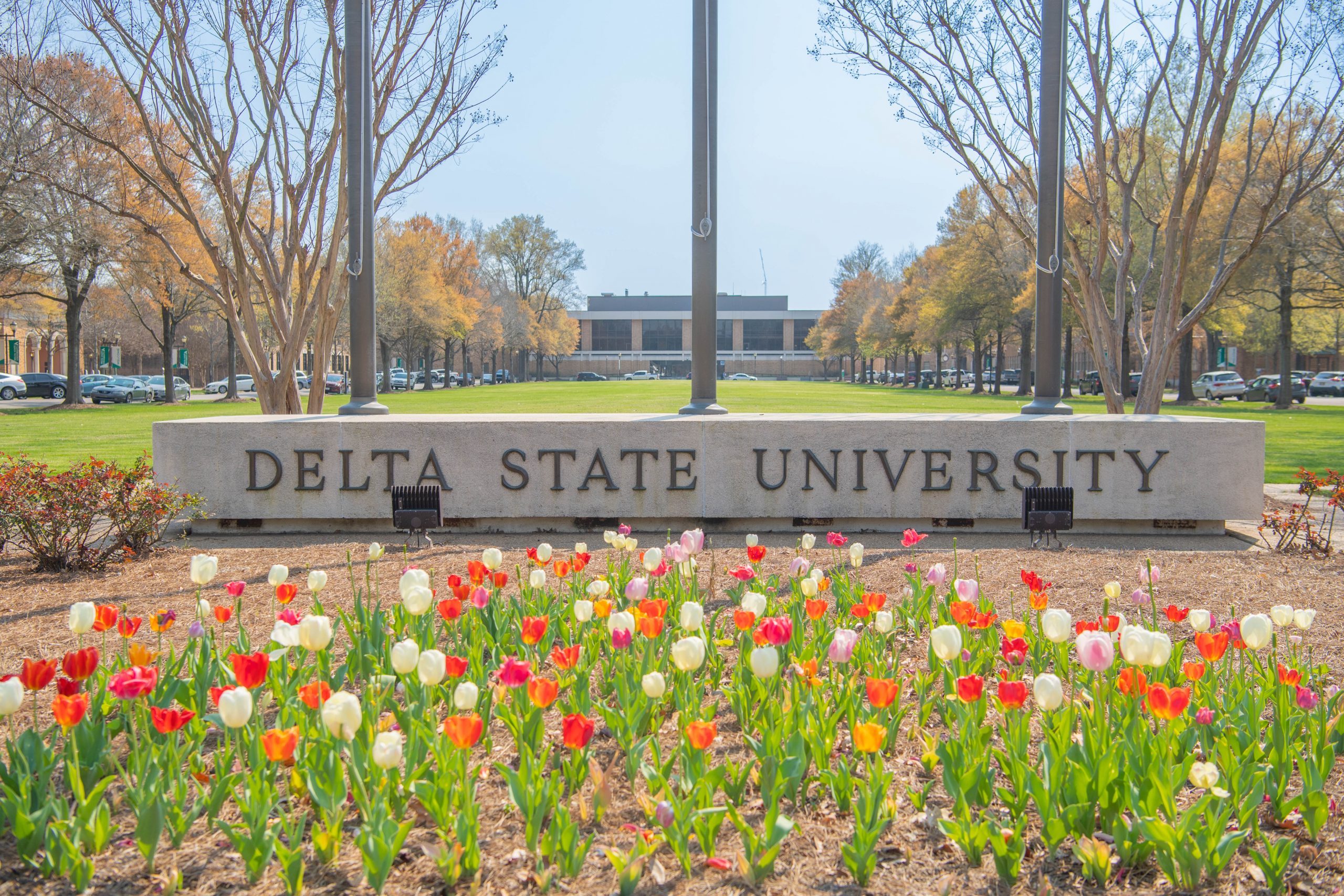 delta state university